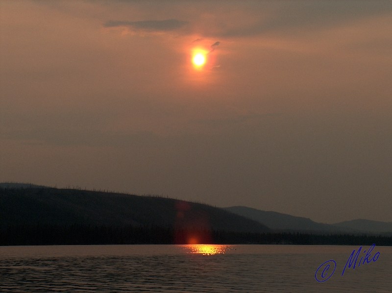 Afternoon_Sun_with_Forest_Fire_Smoke_in_Air.jpgw800h598